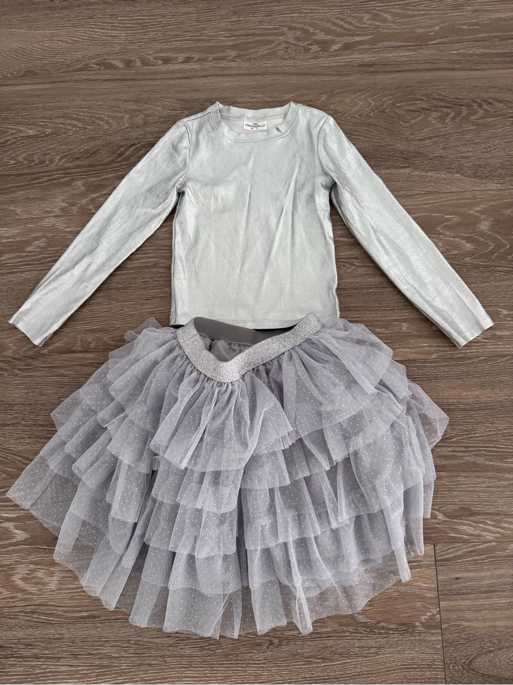 Silver Tulle Skirt and Top set